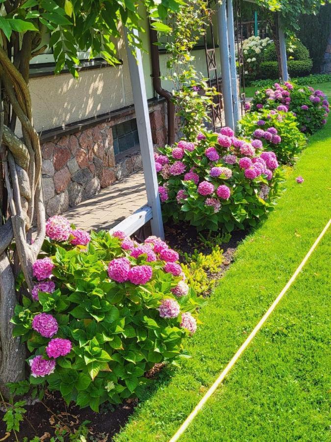 Vila Florena Garden بالانغا المظهر الخارجي الصورة