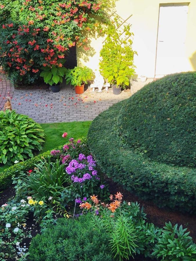 Vila Florena Garden بالانغا المظهر الخارجي الصورة