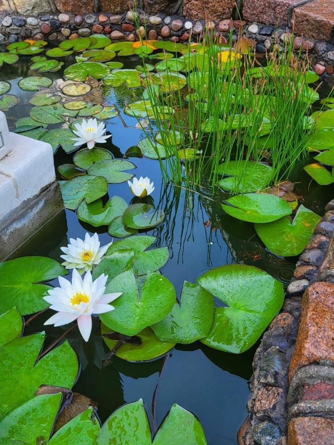 Vila Florena Garden بالانغا المظهر الخارجي الصورة